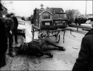 Ich ostatnia droga - za to zdjęcie w 1980 roku Bogdan Kułakowski dostał wyróżnienie w kategorii Życie Codzienne na World Press Photo