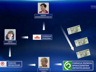 Infografika Fundacji Rozwoju Demokracji Lokalnej