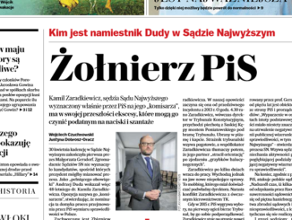 Żołnierz PIS