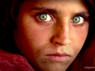 Afghan Girl