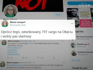 Autorem wpisu był twórca satyryczny znany jako Człowiek Bóbr, który podszył się pod Martę Lempart