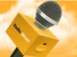 Radio Wnet mikrofon