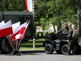 Wojska Obrony Terytorialnej powołały grupę zadaniową "Honor", która ma walczyć o dobre imię formacji w mediach