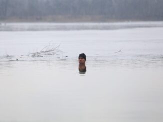 Zdjęcie fotoreporterki DZ, Lucyny Nenow.