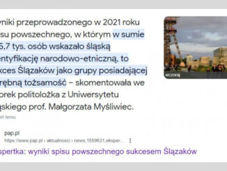 Wyszukiwarki prowadzą do materiału na stronie PAP, lecz po kliknięciu na Pap.pl nie można go przeczytać