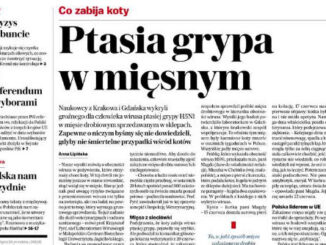 Prof. Krzysztof Pyrć: "W artykule „Gazety Wyborczej” dokonano jednak daleko idącej nadinterpretacji naszych badań: napisano o obecności wirusa w pożywieniu, a nie jednej z pięciu próbek. Co więcej, użyto stwierdzenia, że zbadaliśmy mięso z marketów, co nie jest prawdą"