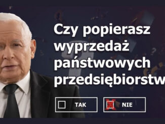 Wśród najczęściej używanych do komentowania tematu referendum terminów znalazły się: wybory, PiS, polski, pytania, Tusk i Kaczyński