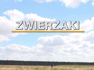 Od października serial, który odpowiada o miłośnikach zwierząt, pokazuje już Polsat Play